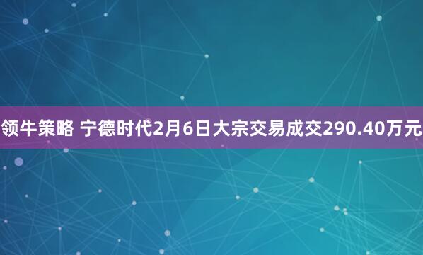 领牛策略 宁德时代2月6日大宗交易成交290.40万元